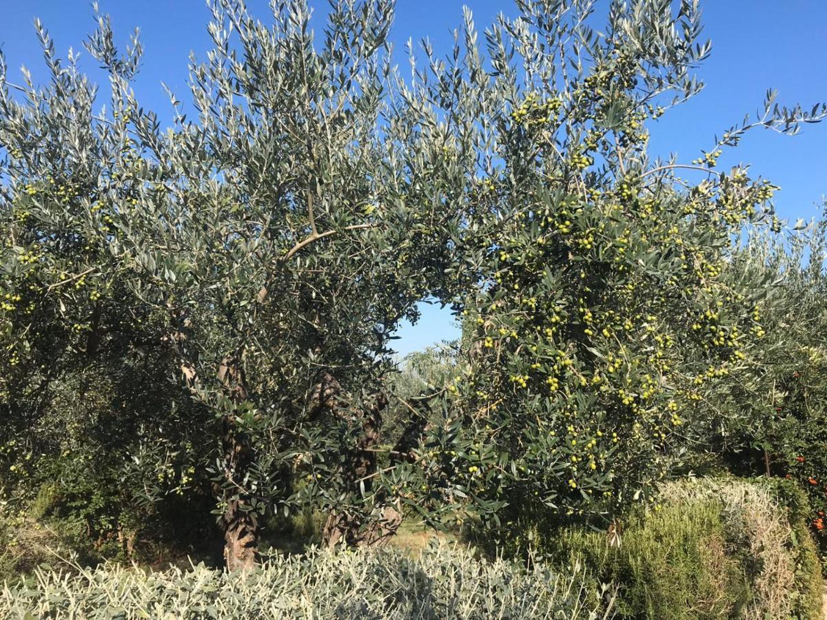La Macina Di Bettona Villa Exterior photo
